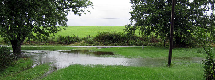 Garden20200815_5365_home_DeepRiver_700.jpg
